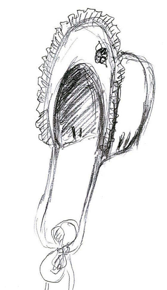 czapeczka
