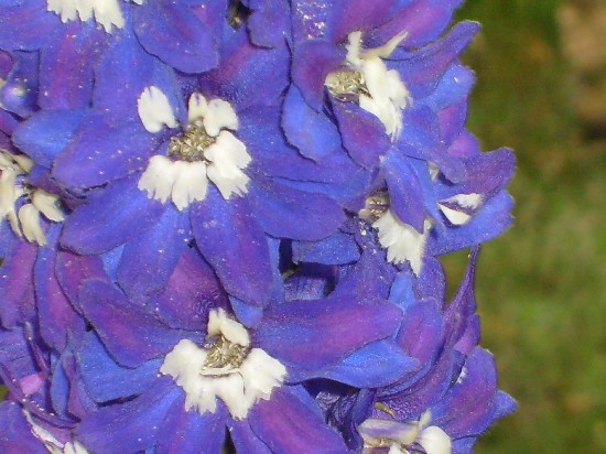 035_czerwiec