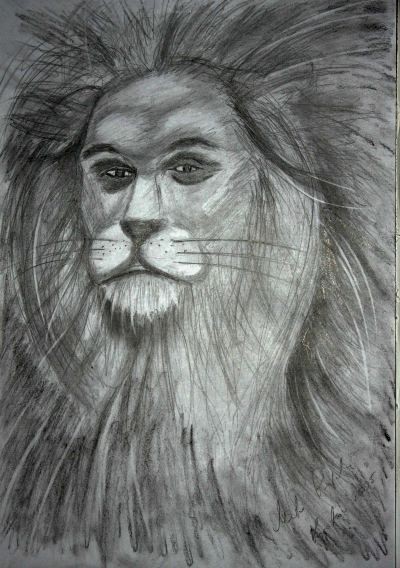 030_lew