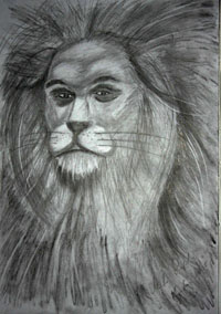 Lew					