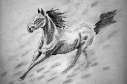 Galop
